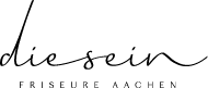 DIESEIN Logo